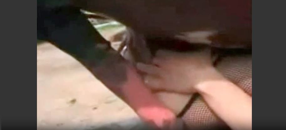 Ngựa địt người Thái Lan