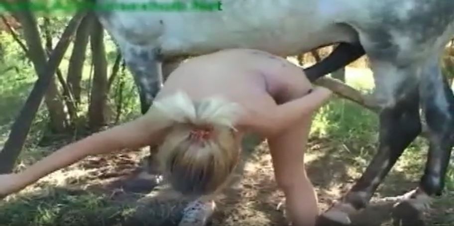 Ngựa địt người Châu Âu