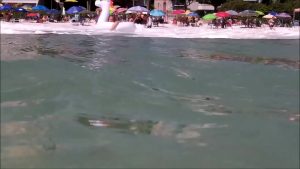 Quay lén cận cảnh gái xinh trong bể bơi